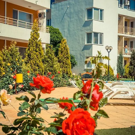 Waterpark ساني بيتش