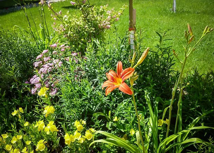 Apartament Waterpark